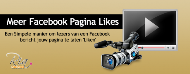 Facebook Pagina Likes Meer Facebook Pagina Likes